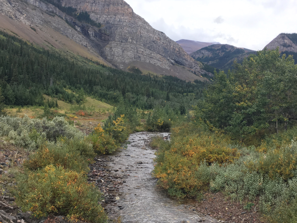 A stream passing under the path